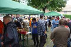 Ausgraben-Herbstsprung2013-052
