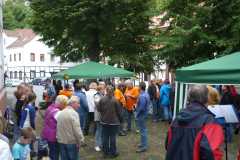 Ausgraben-Herbstsprung2013-054