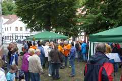 Ausgraben-Herbstsprung2013-055