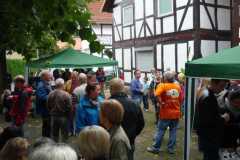 Ausgraben-Herbstsprung2013-057