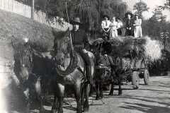 Kirmes-Pferde-Tradition-Fussgruppen-055