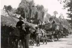 Kirmes-Pferde-Tradition-Fussgruppen-056