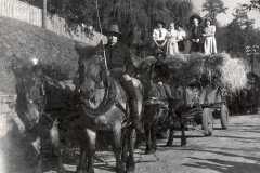 Kirmes-Erntedankwagen-jungesVolk-052
