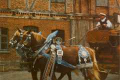 Kirmes-Martini-Bierwagen-Pferde-053